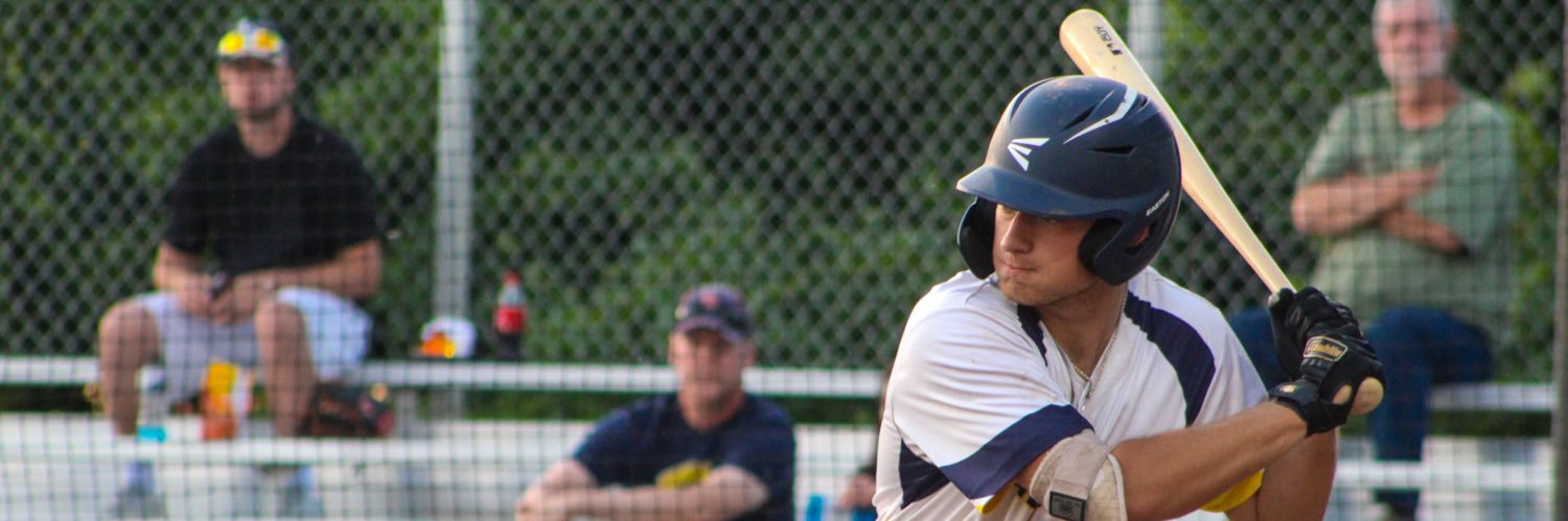 Hamilton Anderson banner