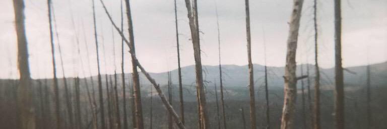 bethbowmanTSF's profile banner image