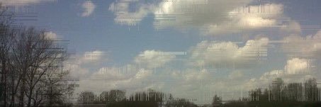 j.ickx ⓥ 💚🌱🐾 banner