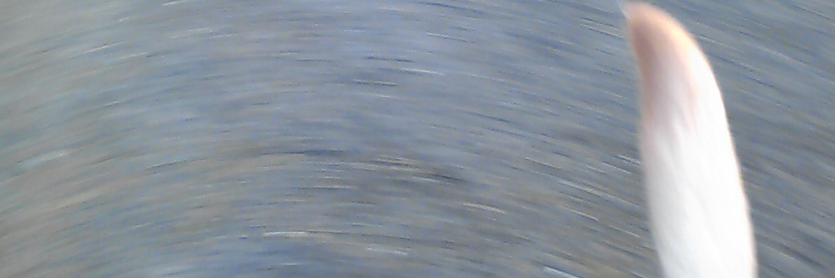 yujauja's profile banner image