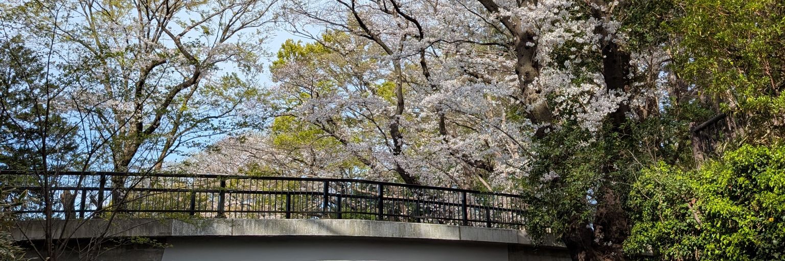 ㄘも's banner