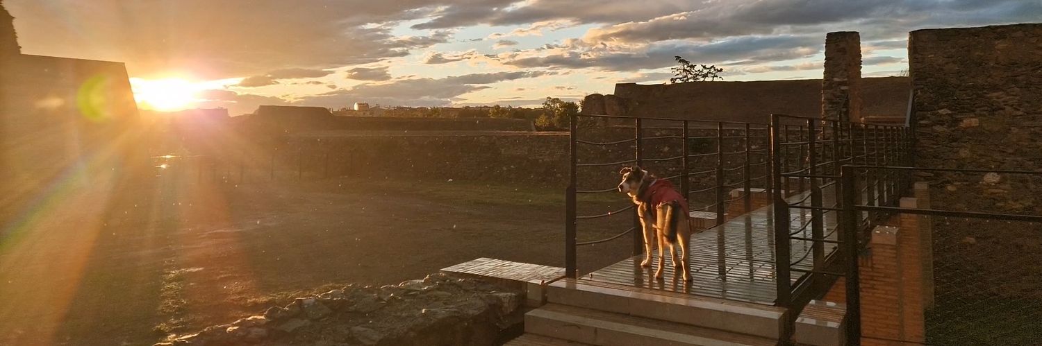 Narcís 👀🔪 banner