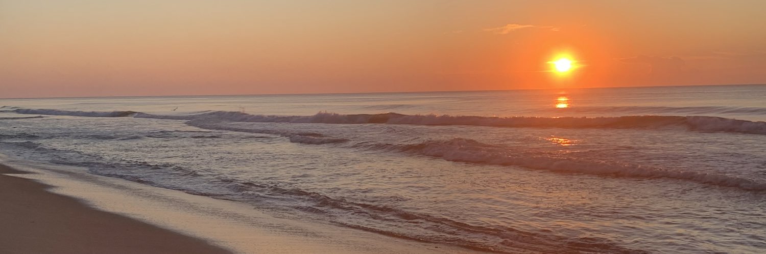 aliyahhlabb's profile banner image