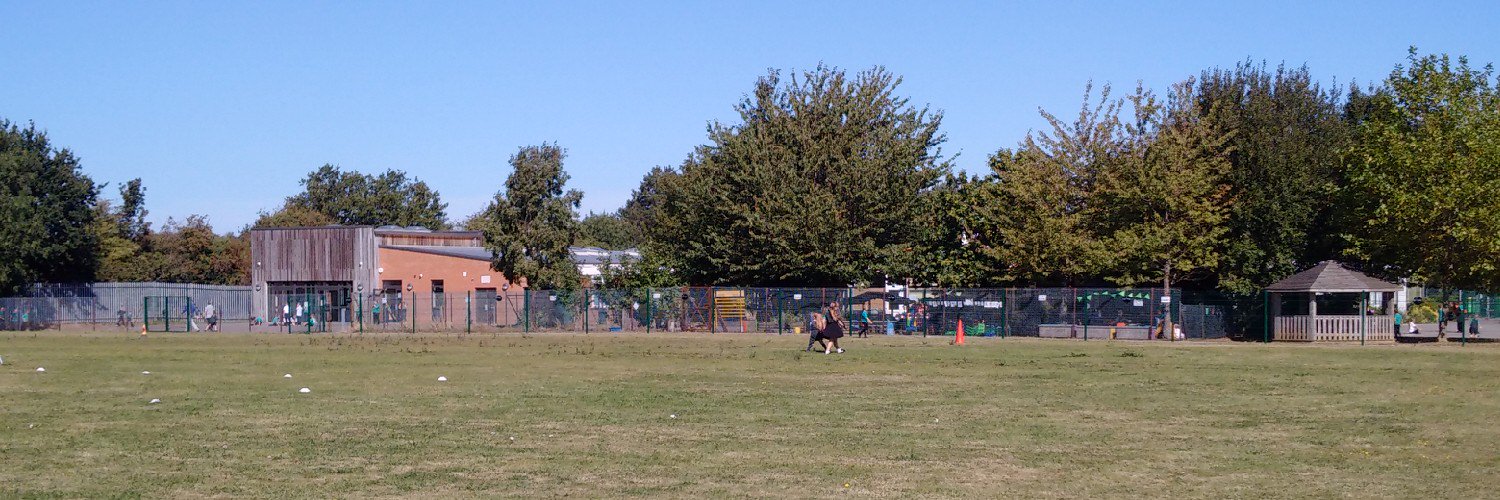 Bysing Wood Primary banner