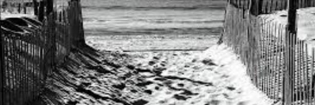 JakeSimsm8's profile banner image