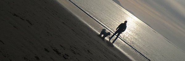 matthewjones9 Profile Banner