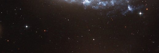 rnpantmo's profile banner image