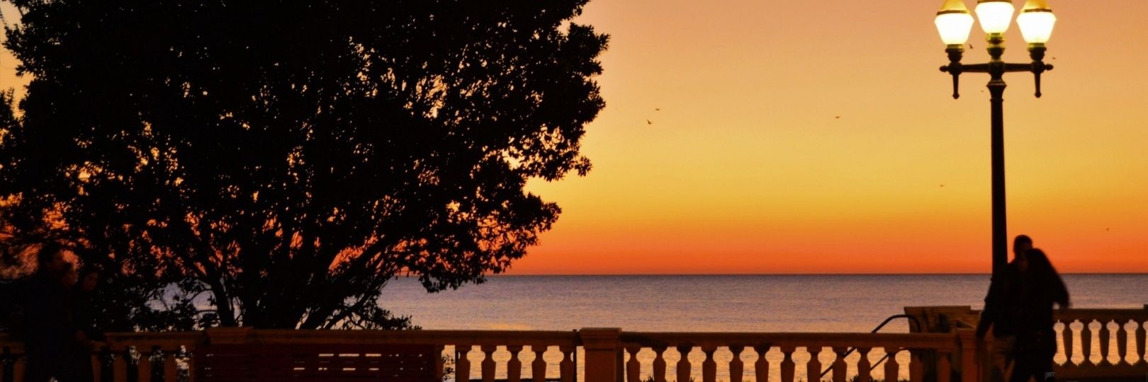jjmtj's profile banner image
