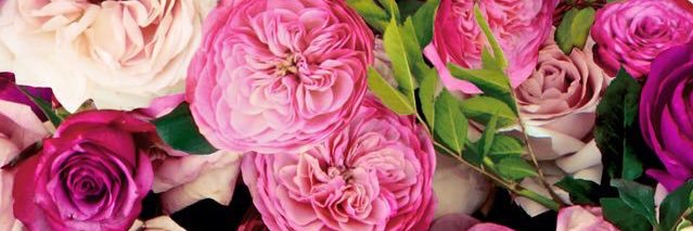 suchin__'s profile banner image