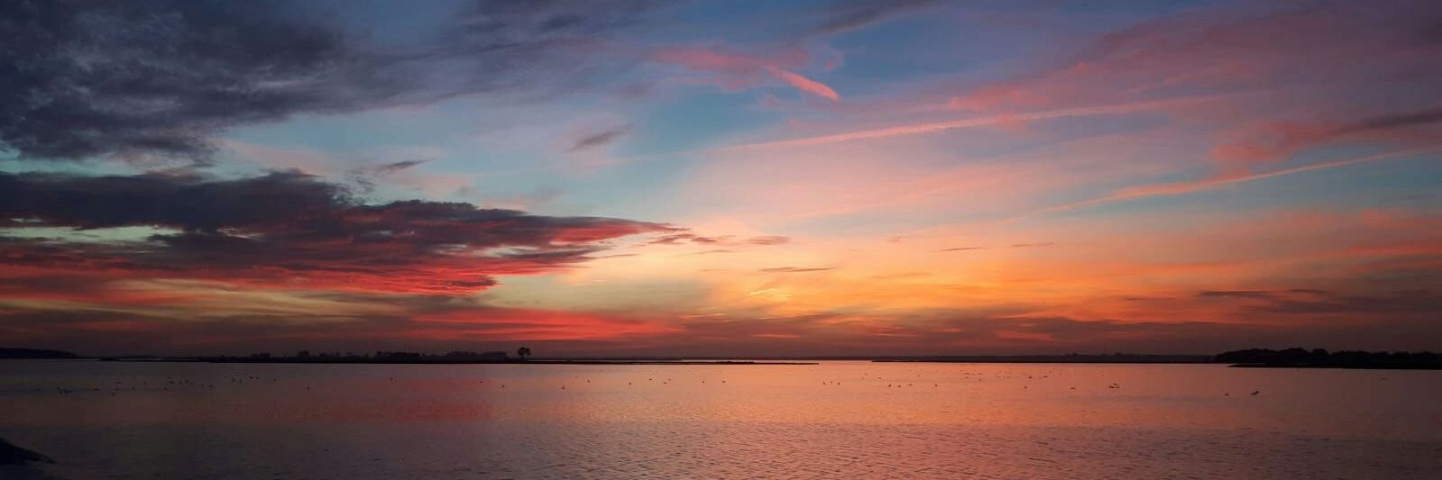 Christian Römer 💉💉💉 banner