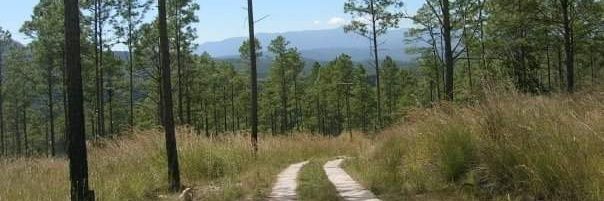 pagel_ben's profile banner image