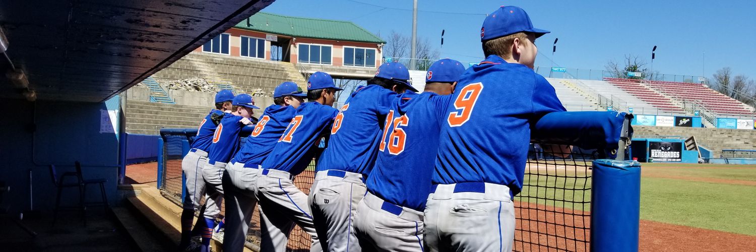 HamboBaseball's profile banner image