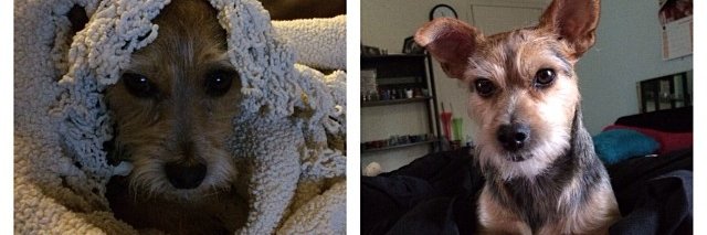 Brittany Winters banner