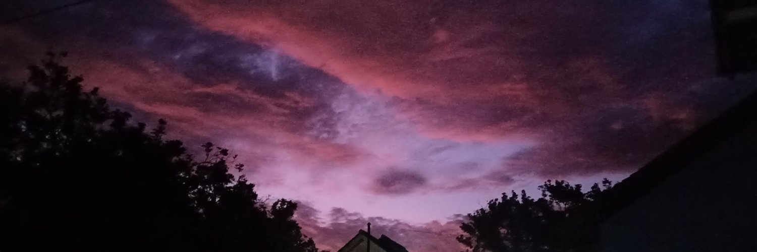 nisaoktt's profile banner image