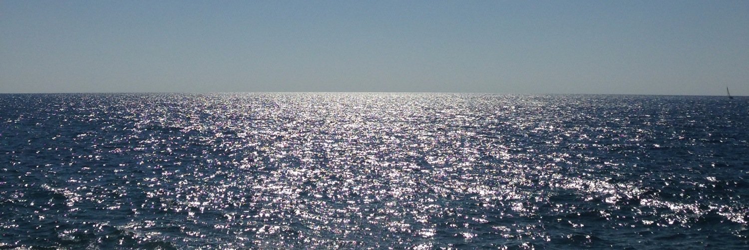 School of Shine banner