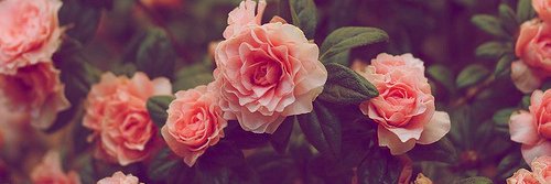 ew_malum's profile banner image