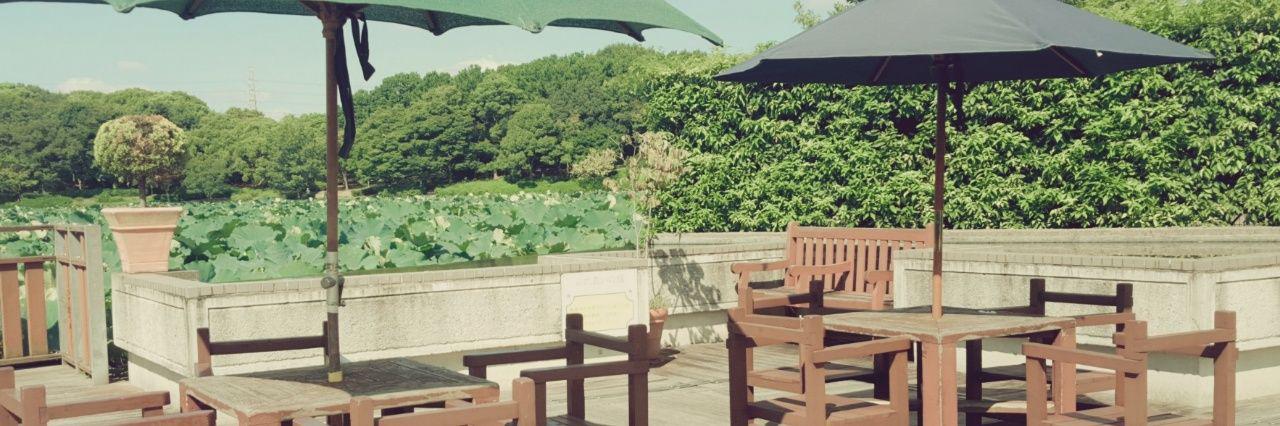 0501_chii's profile banner image