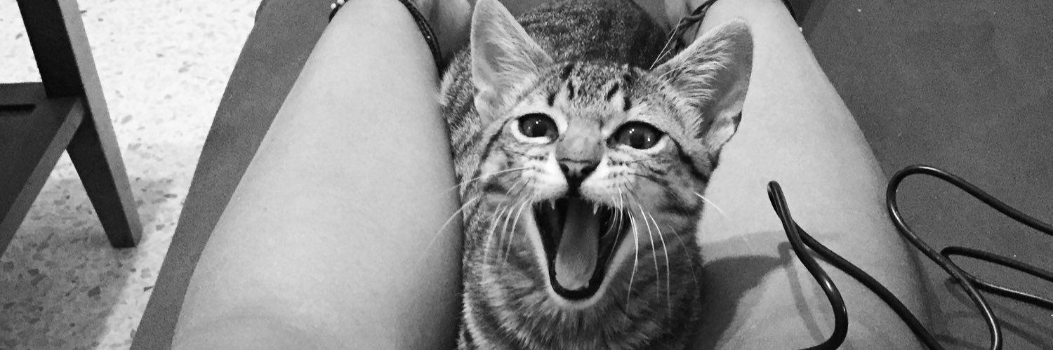 Sara Orellana banner