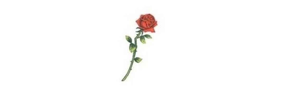 annawindsch's profile banner image