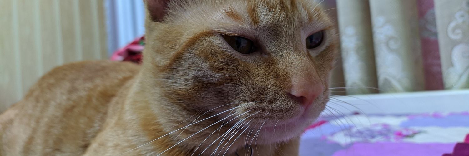 DSH2T's profile banner image