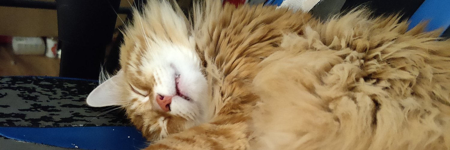 Akarai77 - 赤雷 banner