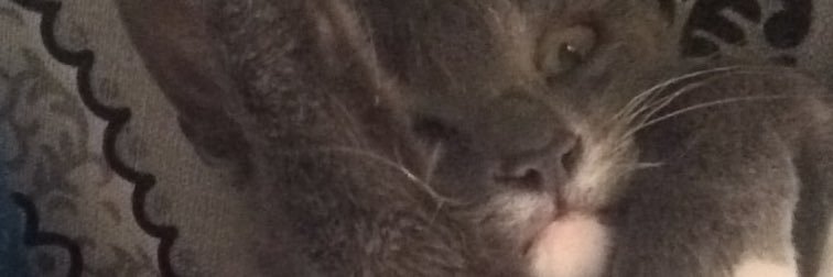 ruthmax341's profile banner image