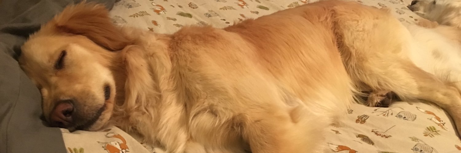 AliceAnnMartin's profile banner image