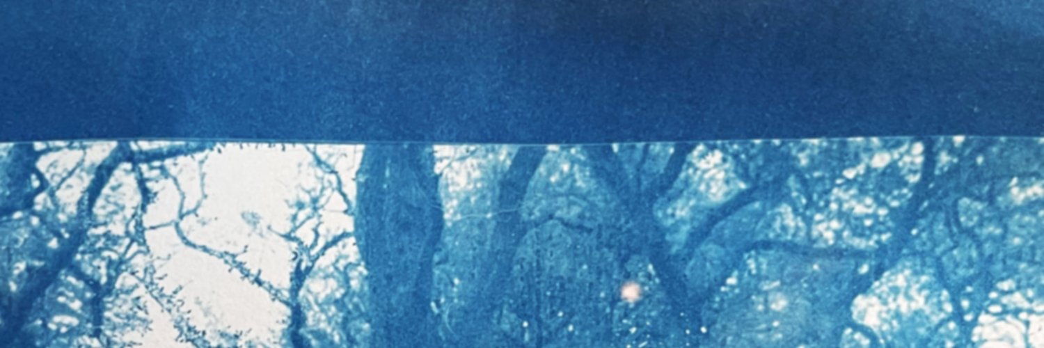 flaneusemusic's profile banner image