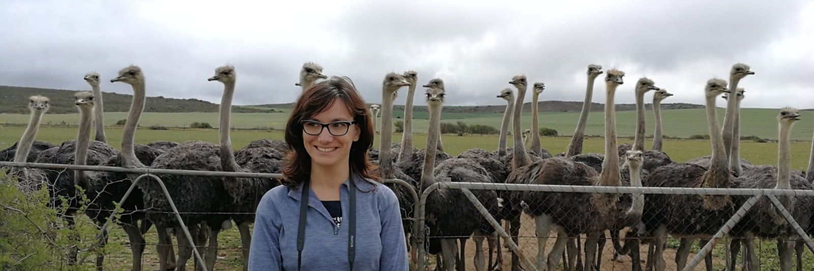 Dr Ana Matran-Fernandez banner