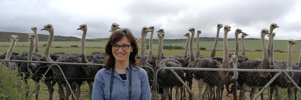 amatranfer Profile Banner