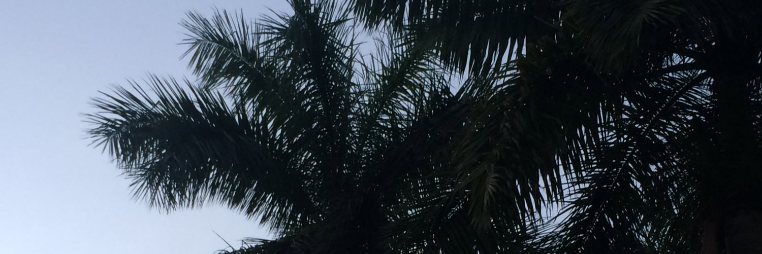 swaggmommamouch's profile banner image
