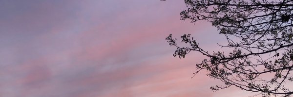 stephanieli48 Profile Banner