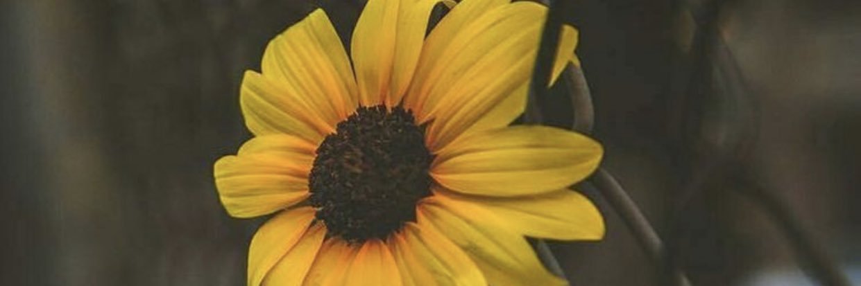 me_m199's profile banner image