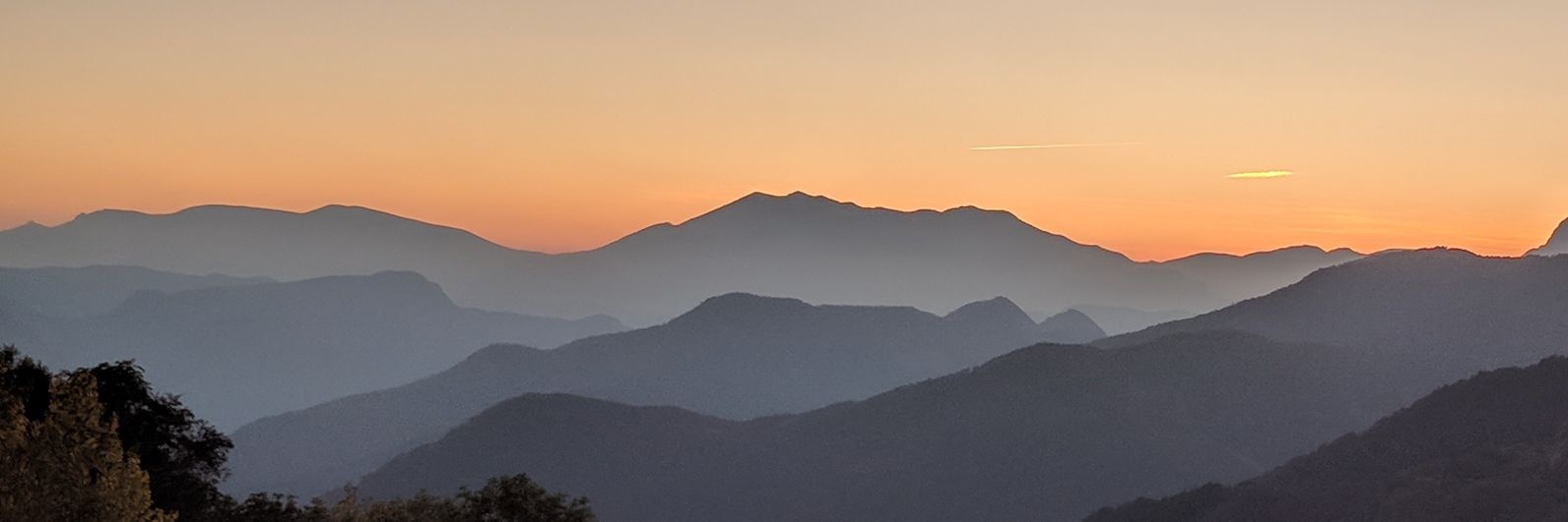 rpalomar's profile banner image