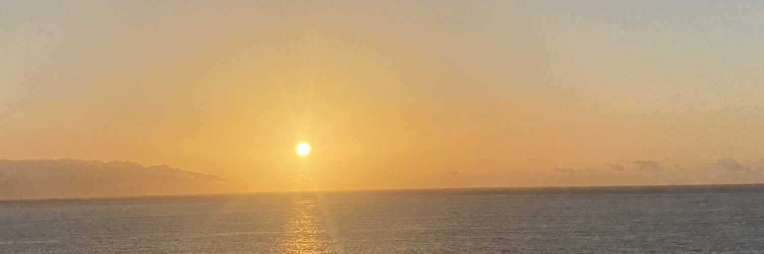 LaurenCook33's profile banner image