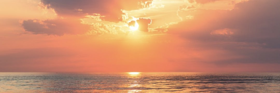 Carsonfan_'s profile banner image