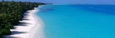 Cesar Lavale Sanchez banner