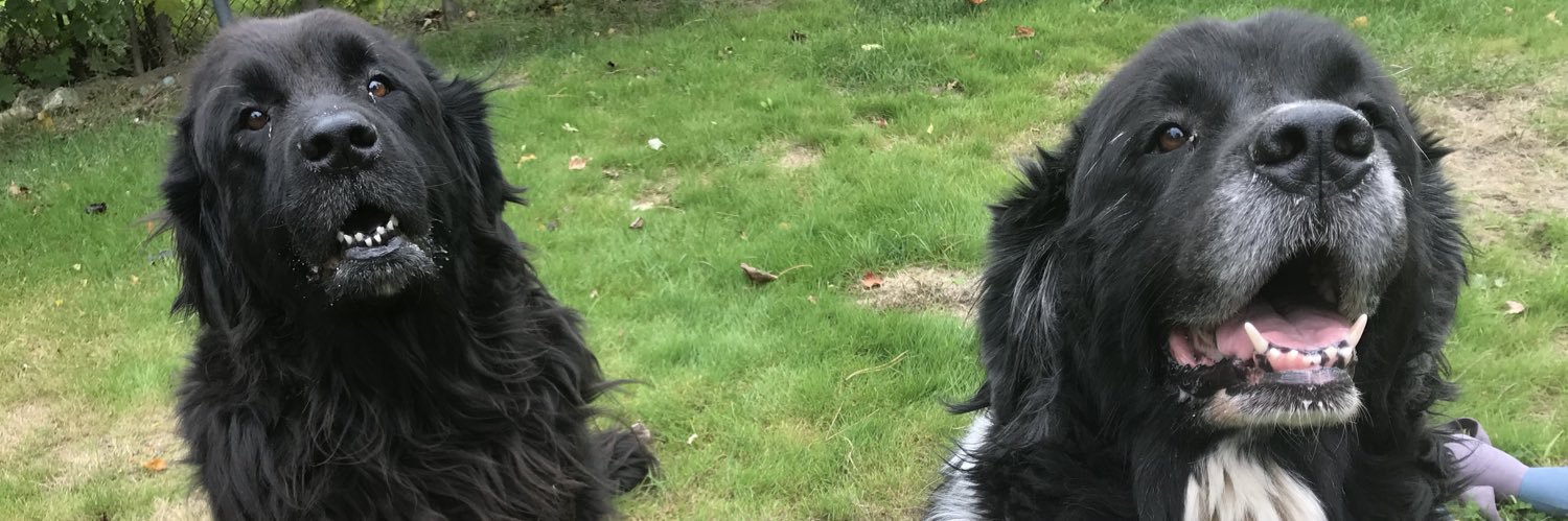 TabiLash's profile banner image