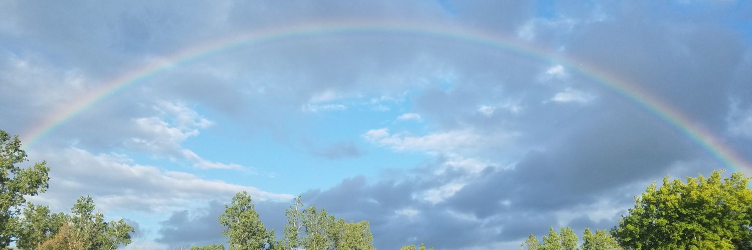 MichelleHeizer's profile banner image