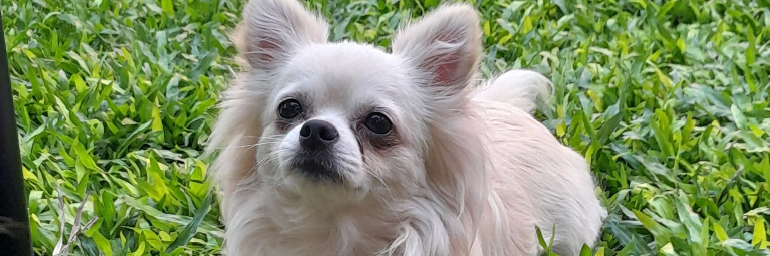 TatiGalvan2's profile banner image