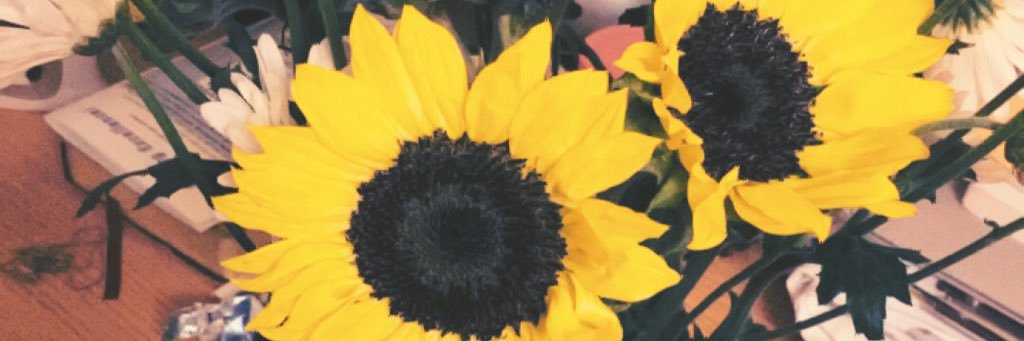 jasmineevans__'s profile banner image