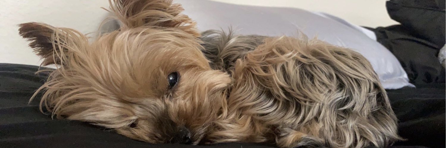 ryleesreed_'s profile banner image