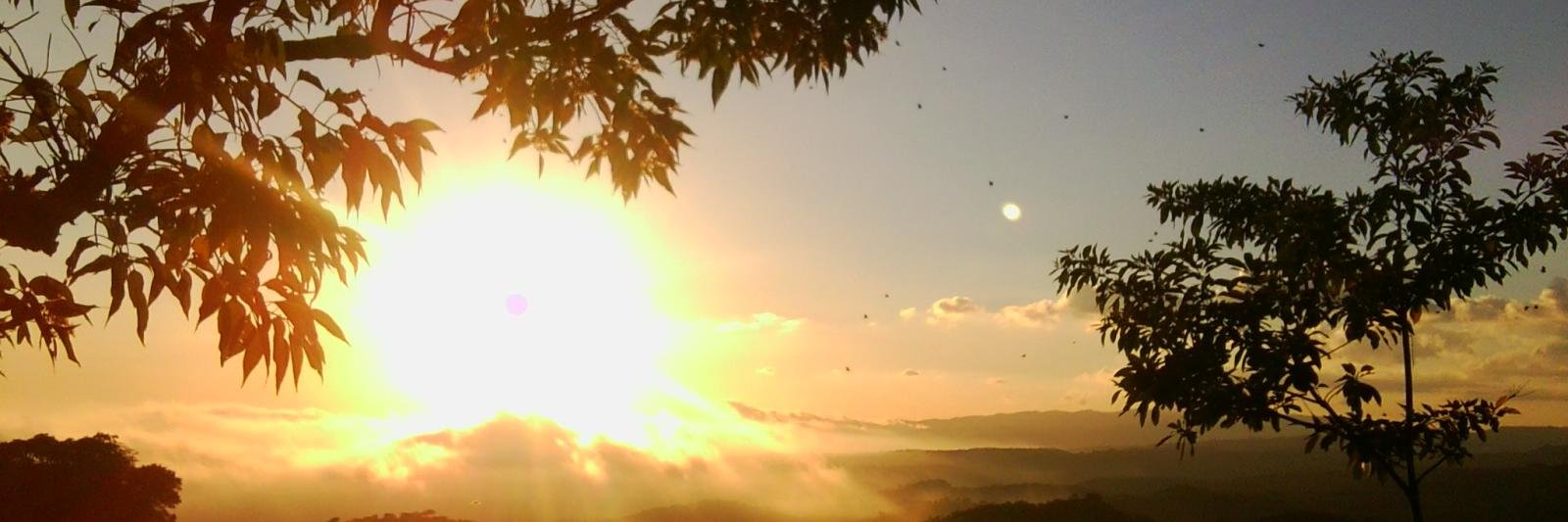 ssanchezgram's profile banner image