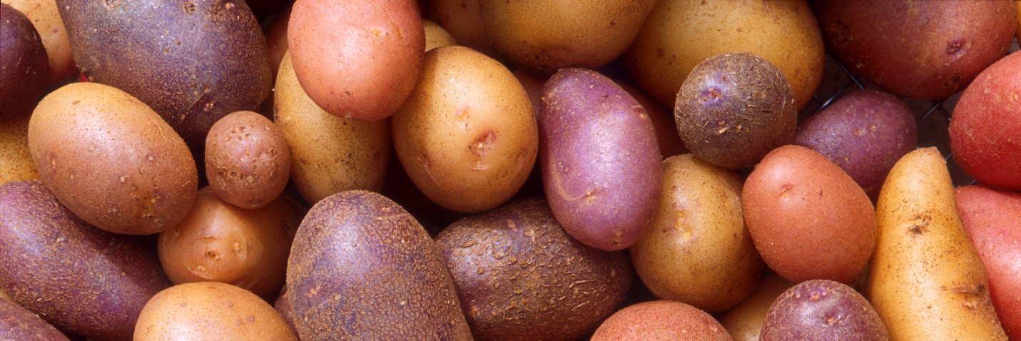 ZackPotatoe's profile banner image