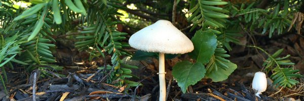 yojj47 Profile Banner