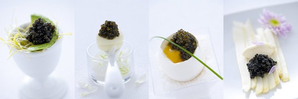 CalvisiusUSA Profile Banner