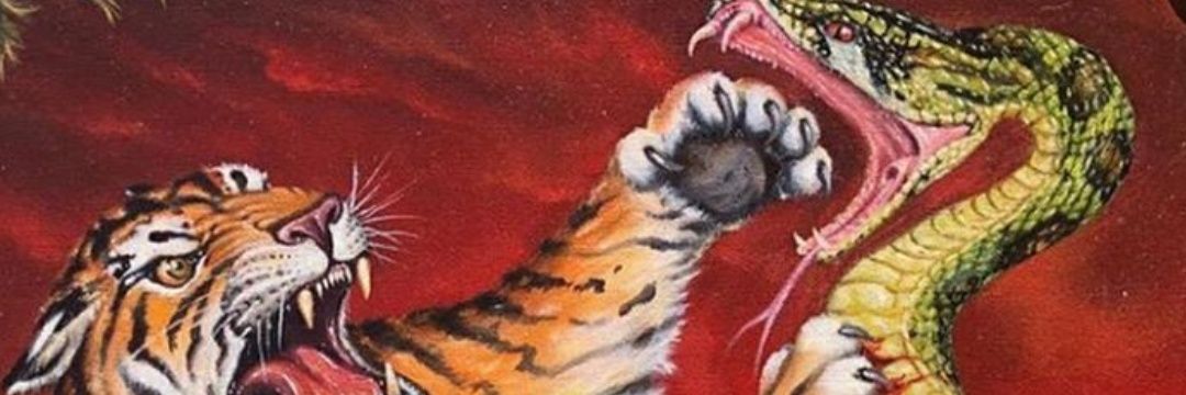 NJunnior_'s profile banner image