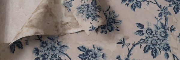 franzbecchi Profile Banner