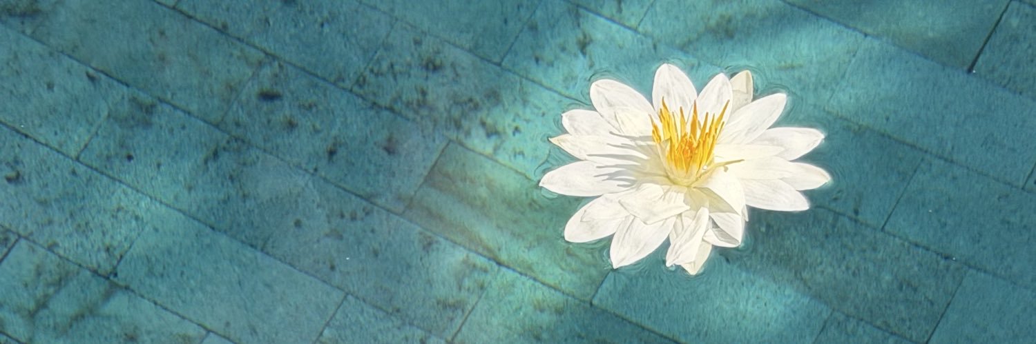 POBsixpack's profile banner image