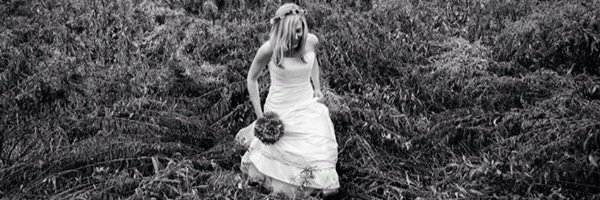 scotchstudio's profile banner image